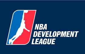 Logotipo de la development league NBA